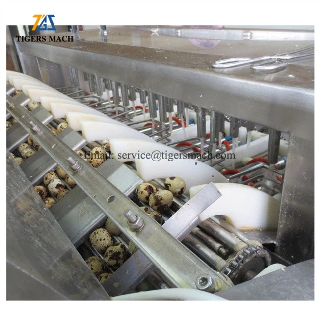 Hard Cooked Quail Egg Shell Remover Machine Salable in Romania (4)