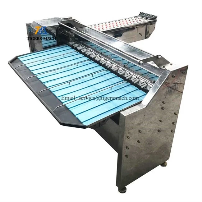 Factory price egg classification Stainless steel egg grading machine