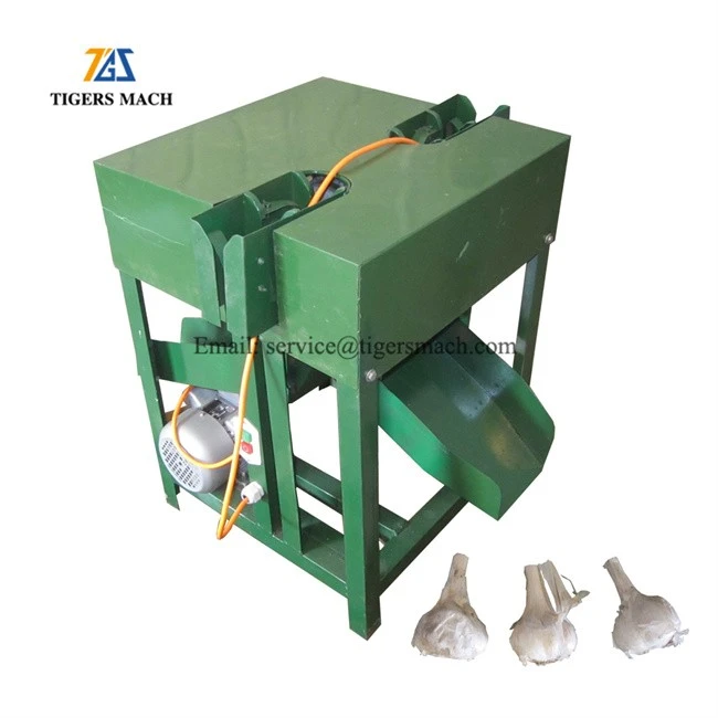 Efficiency Garlic Head And Stalk Cut Machine in Garlic Processing Equipment factory